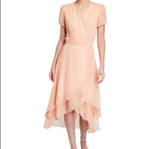 Betsey Johnson dress brand new with tag